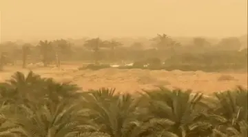 الأرصاد تحذر: رياح محملة بالرمال والأتربة قادمة من ليبيا وفرص سقوط أمطار